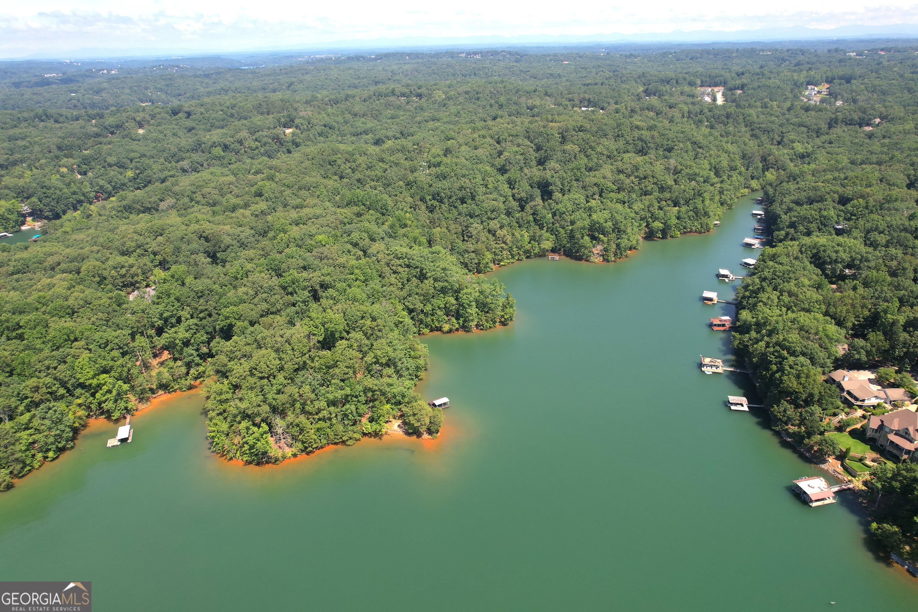 3475 Cook Road Gainesville, GA 30506 - Photo 9 of 29 a view of a lake with a city