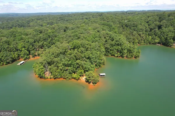 a view of a lake with a mountain in the background
