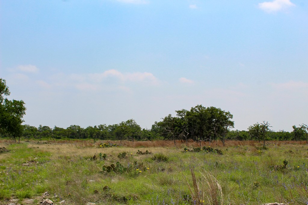 243 Lipan Loop Harper, TX 78631 - Photo 2 of 2 a view of lake and mountain