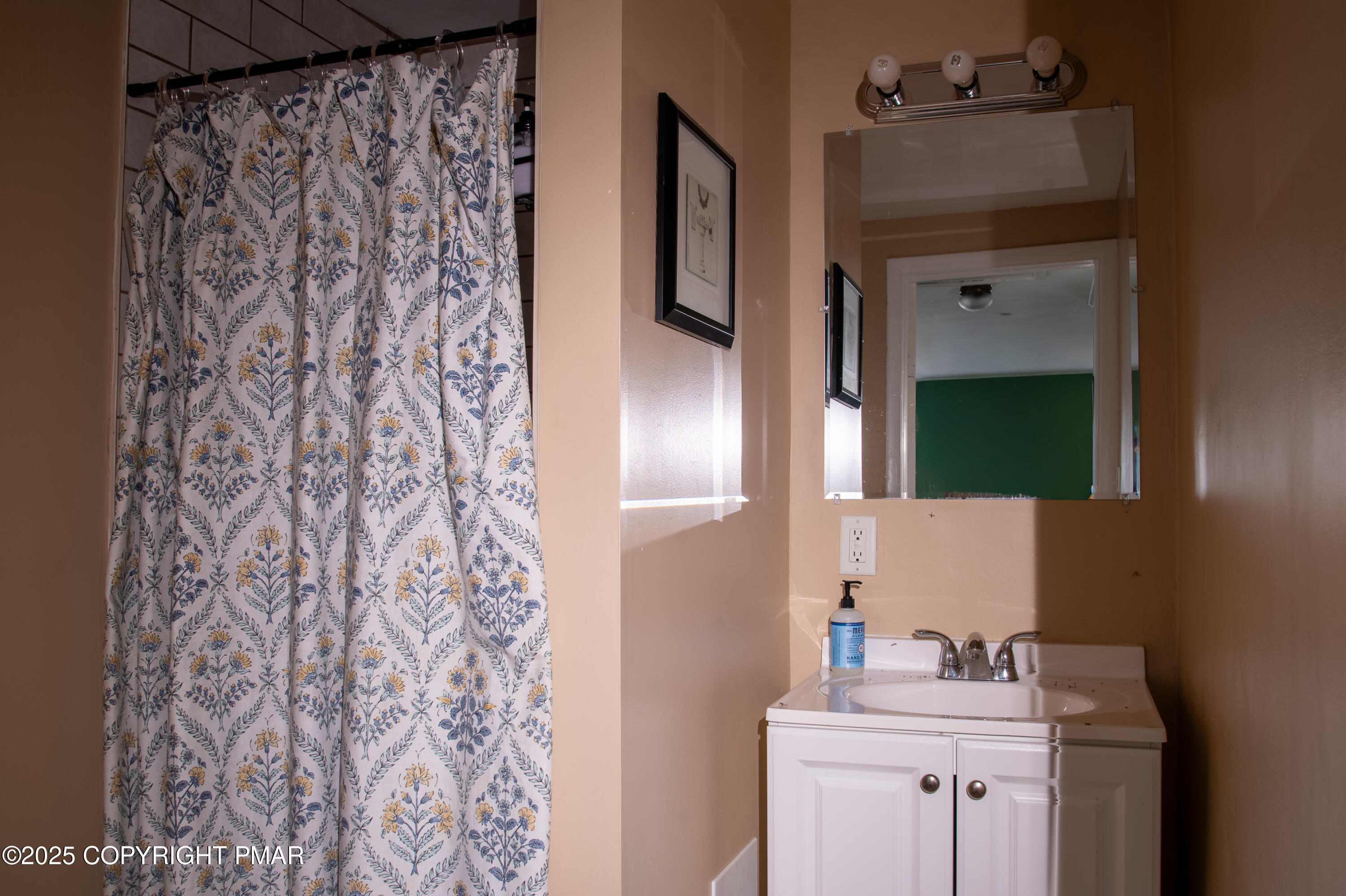 111 Rippling Brook Road Canadensis, PA 18325 - Photo 36 of 50 a bathroom with a sink and mirror