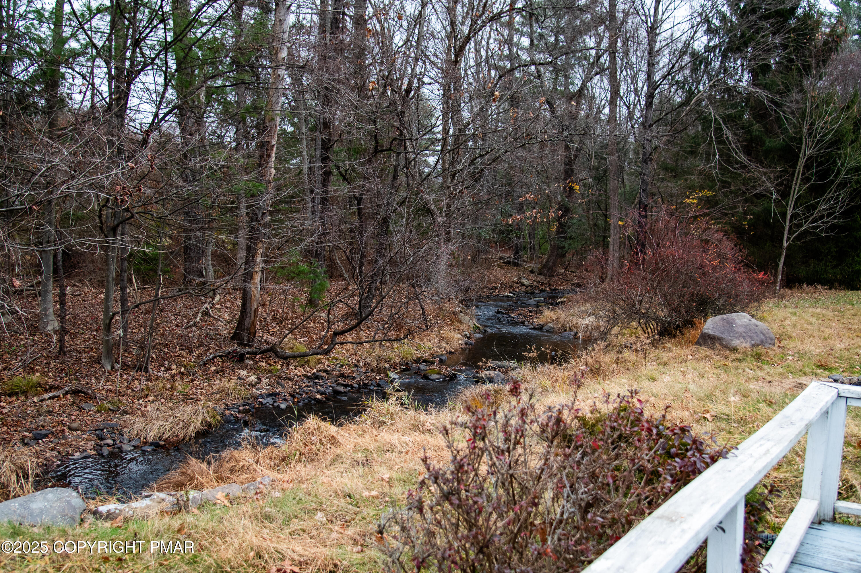 111 Rippling Brook Road Canadensis, PA 18325 - Photo 45 of 50 a view of a forest filled with trees