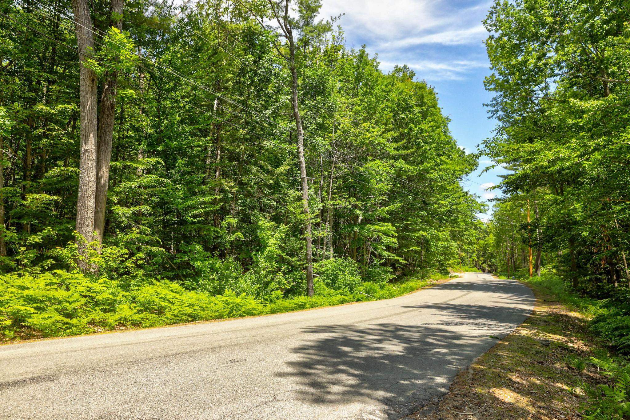 Lot 12-2 Needle Eye Road Meredith, NH 03253 - Photo 16 of 22