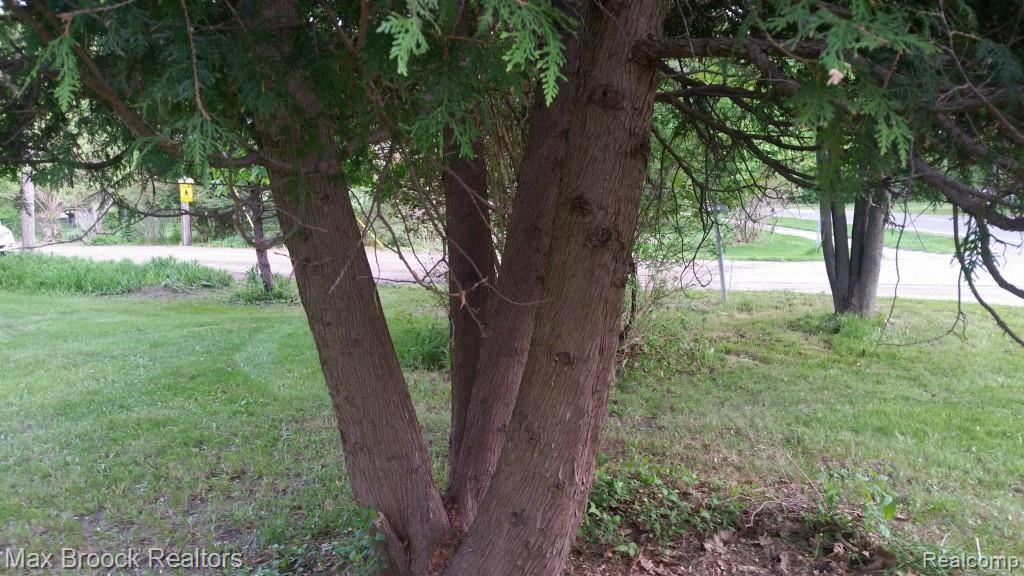 23862 Berg Road Southfield, MI 48033 - Photo 59 of 69 20150521_182317.jpg