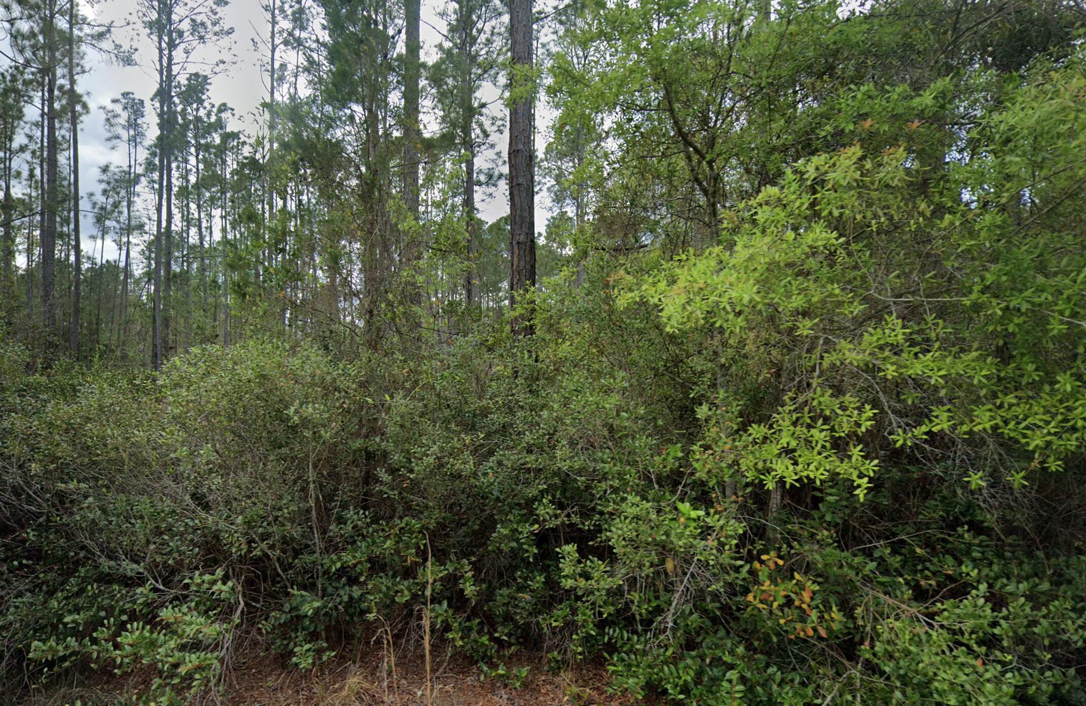105 Glenside Street Georgetown, FL 32139 - Photo 1 of 4 Home Sweet Home