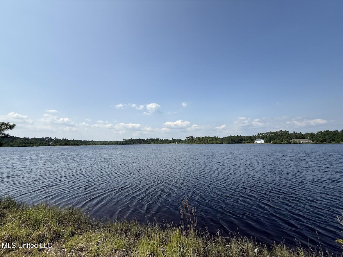 Sunfish Cove Perkinston, MS 39573 - Photo 5 of 10 Lake
