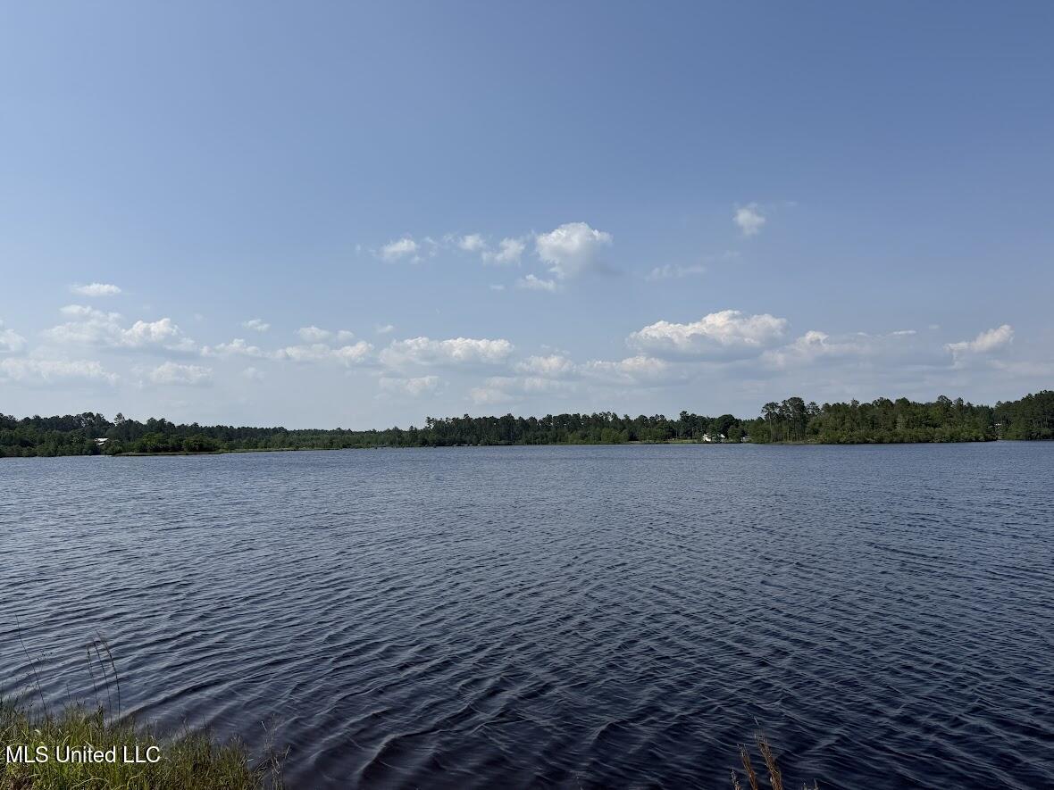Sunfish Cove Perkinston, MS 39573 - Photo 6 of 10 Lake