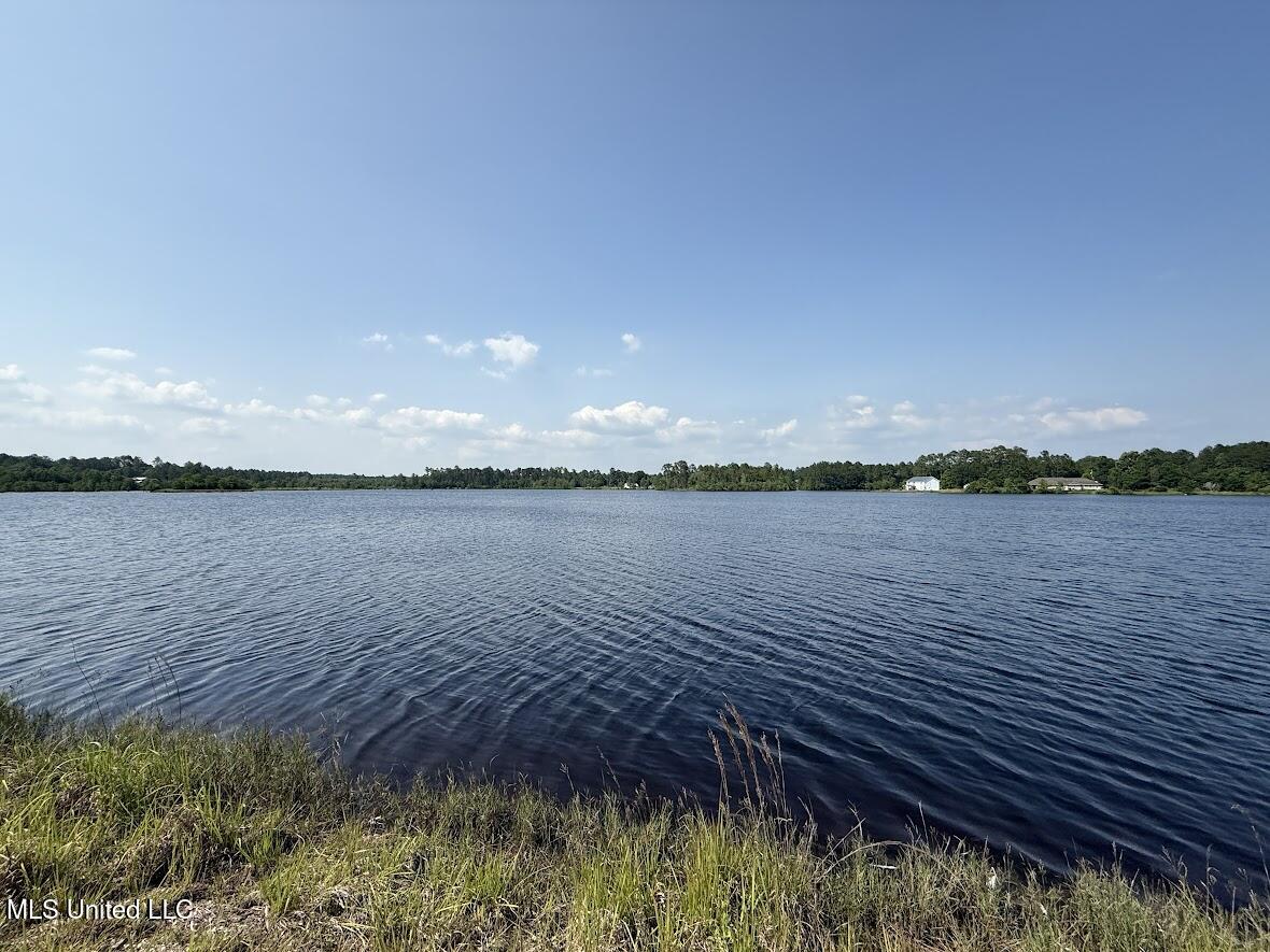 Sunfish Cove Perkinston, MS 39573 - Photo 7 of 10 Lake