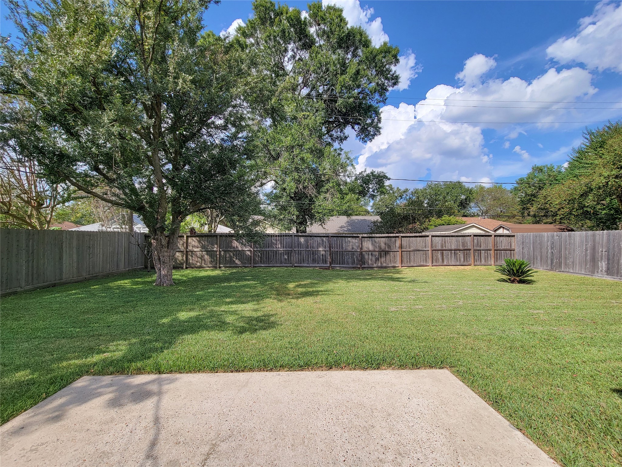 5442 Kinglet Street Houston, TX 77096 - Photo 19 of 25 a view of a backyard with a tree