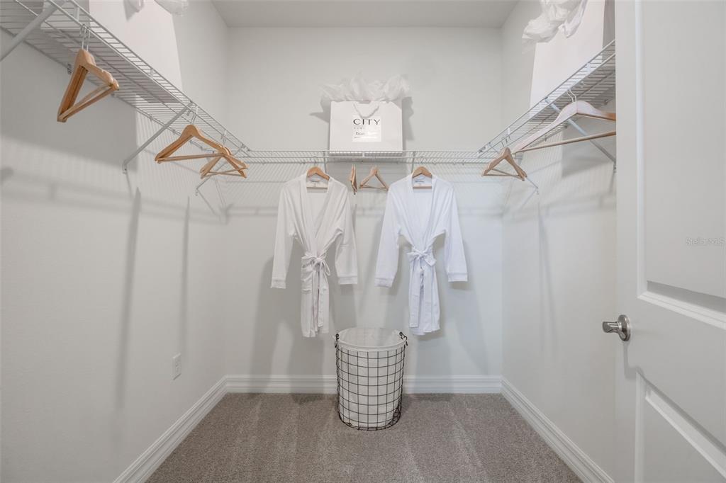 3961 Kennebunk Loop Mount Dora, FL 32757 - Photo 30 of 51 a view of walk in closet