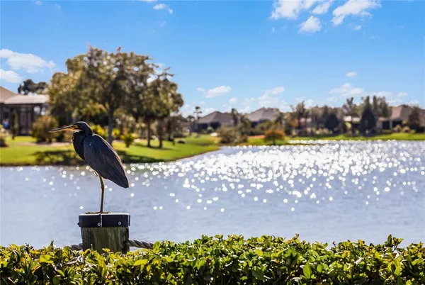 $401,990 | 3961 Kennebunk Loop, Mount Dora, FL 32757