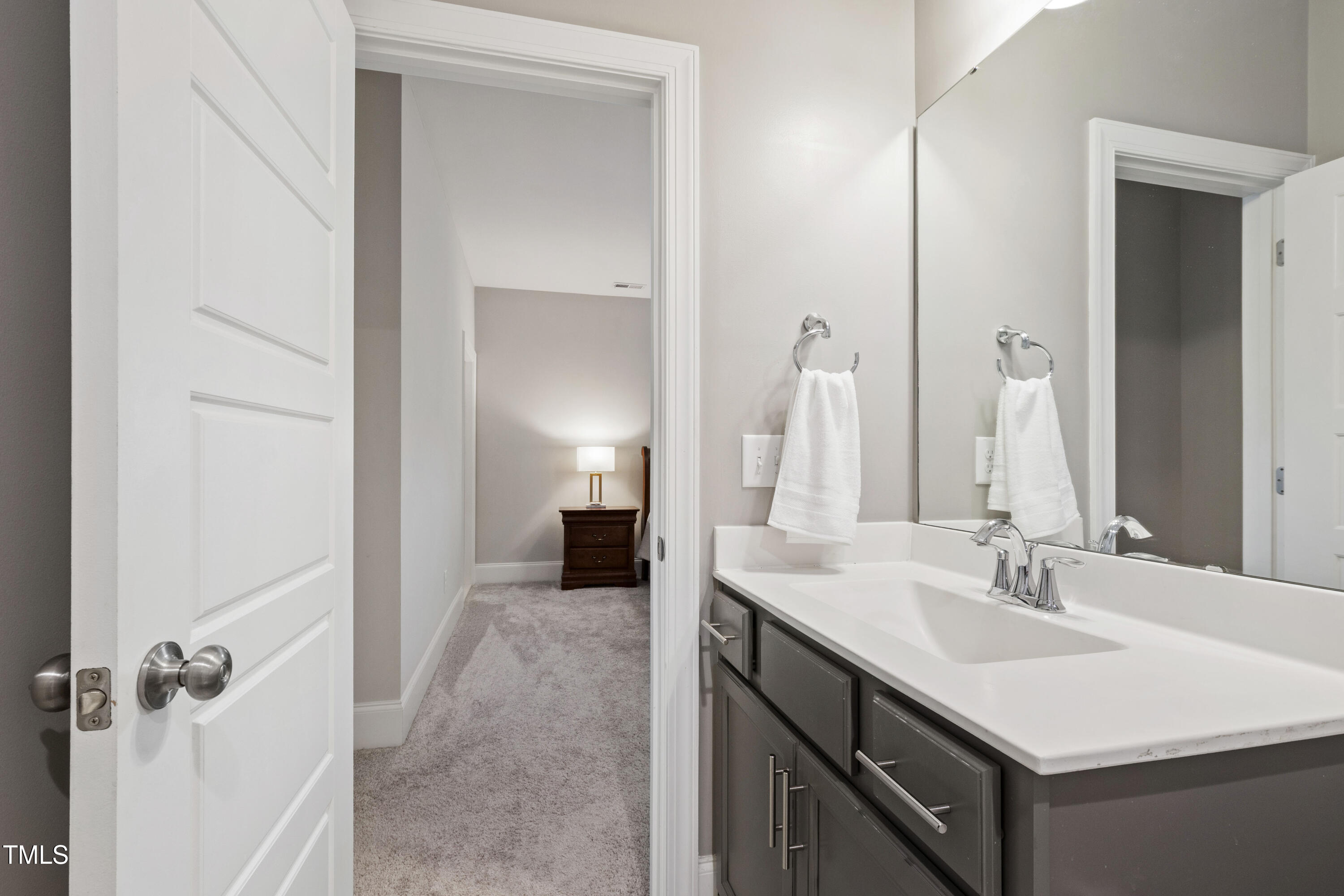 4212 Banks Stone Drive Raleigh, NC 27603 - Photo 53 of 69 a bathroom with a sink and a mirror