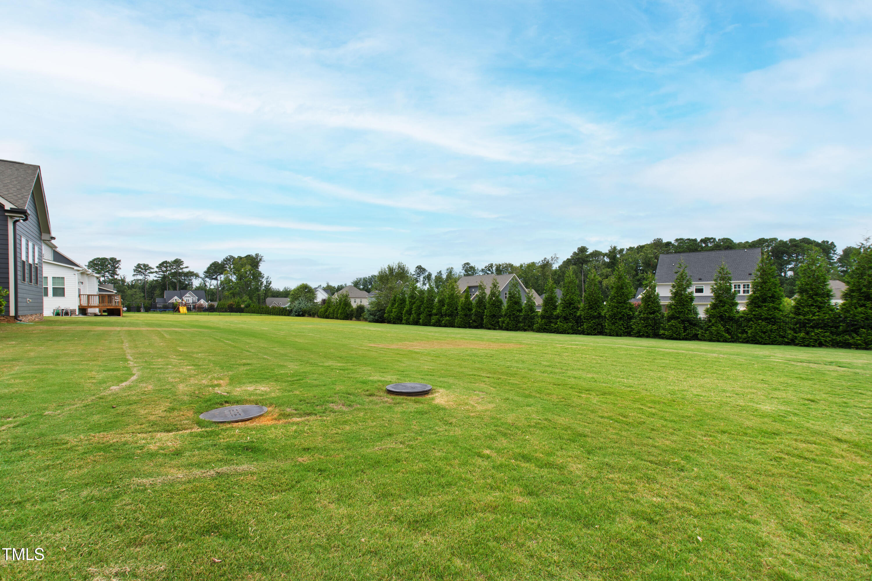 4212 Banks Stone Drive Raleigh, NC 27603 - Photo 57 of 69 a view of field with tall trees