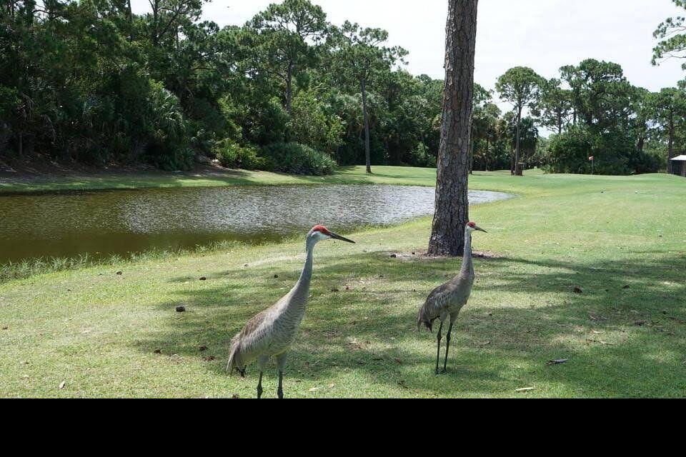 12 Orinco Road Port St. Lucie, FL 34952 - Photo 45 of 50 4400788598962284351