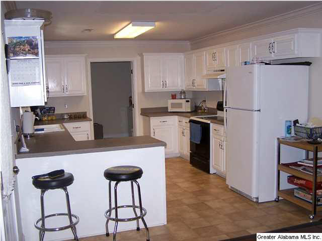5385 County Road 754 Clanton, AL 35045 - Photo 6 of 11