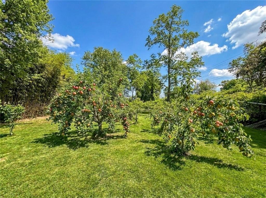 636 Holmdel Road Hazlet, NJ 07730 - Photo 43 of 47 a view of a tree with a yard