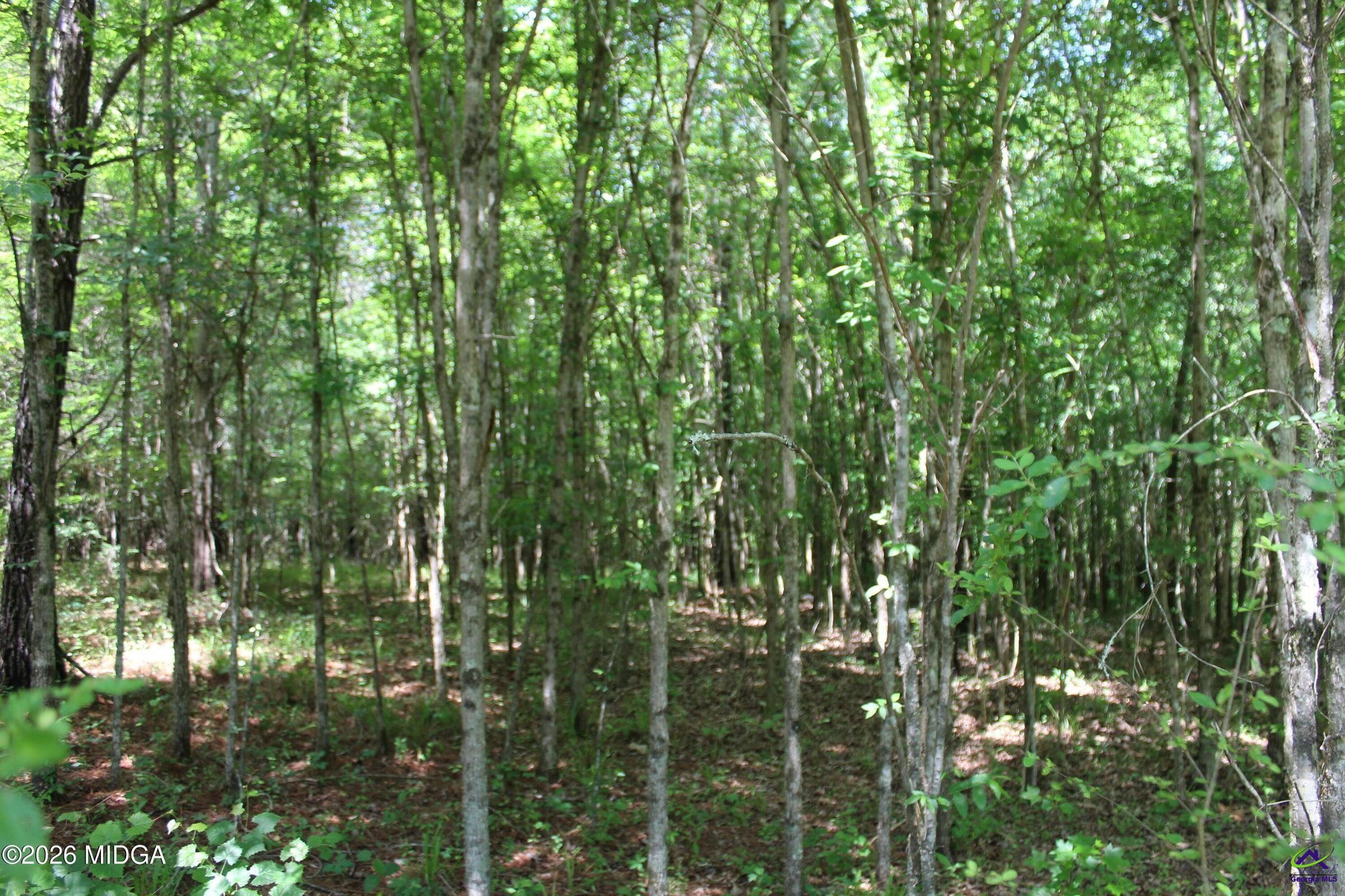 Lot 5 Jenkins Road Forsyth, GA 31029 - Photo 1 of 1 Gallery Image 1