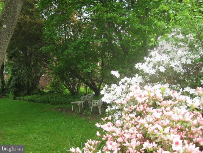 5706 Kenmore Road Baltimore, MD 21210 - Photo 15 of 18 a backyard of a house with lots of green space