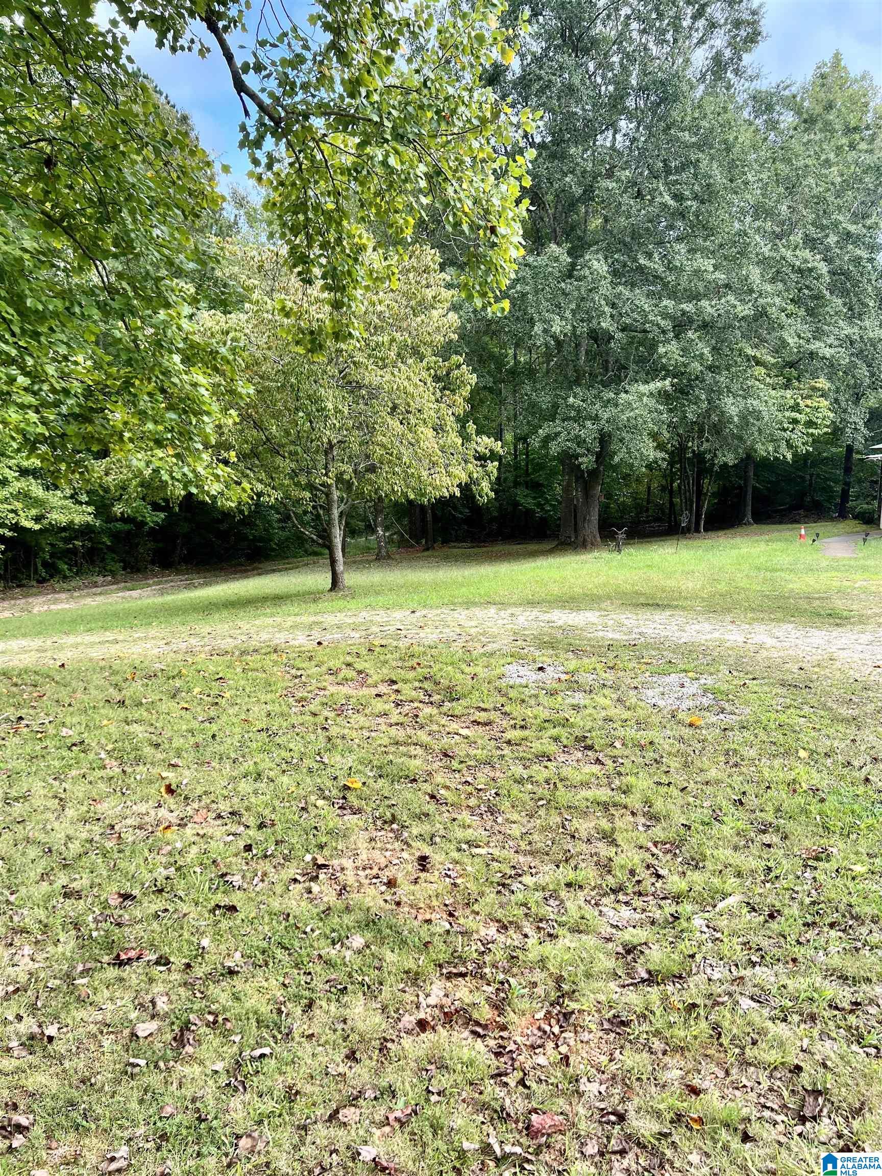 95 County Road 261 Muscadine, AL 36269 - Photo 2 of 19
