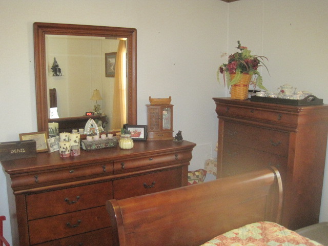 881 Springwood Road Fincastle, VA 24090 - Photo 29 of 44 Springwood 018