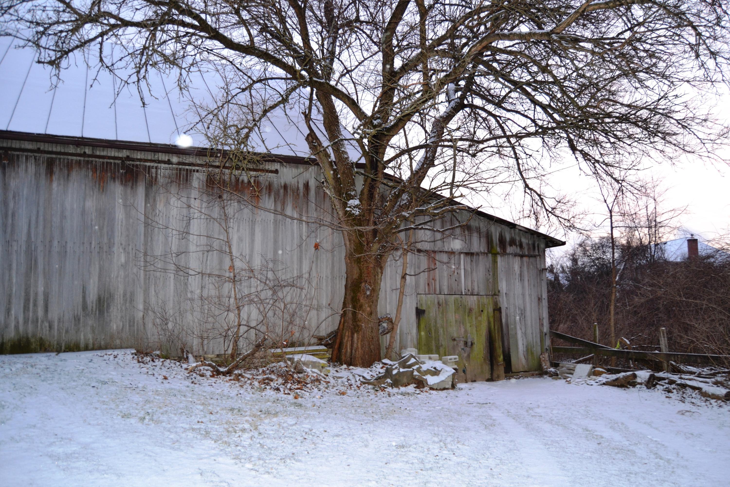 Gallery Image 7