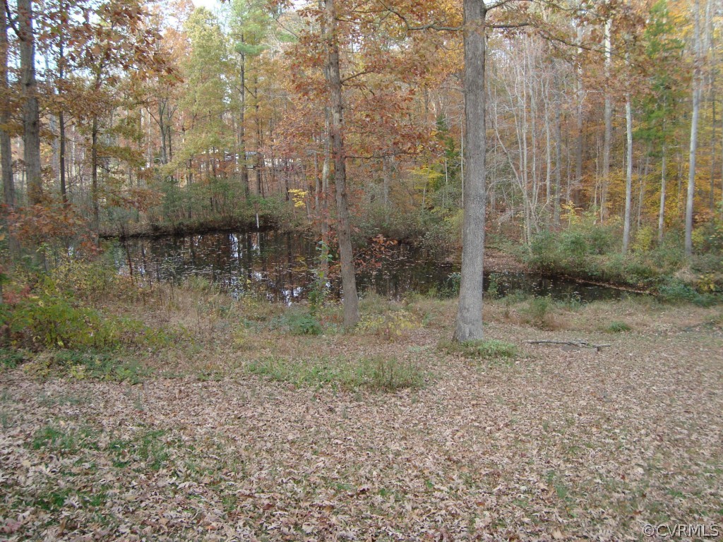 5402 Dogwood Acres Road Goochland, VA 23063 - Photo 5 of 23 a backyard of a house with lots of green space