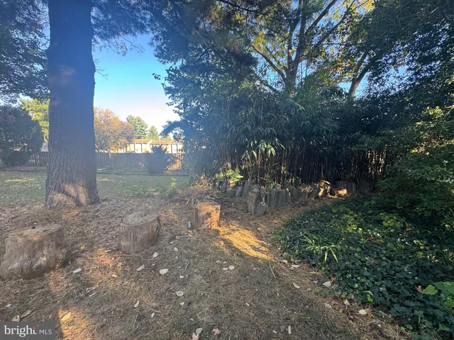 a view of a yard with an outdoor space