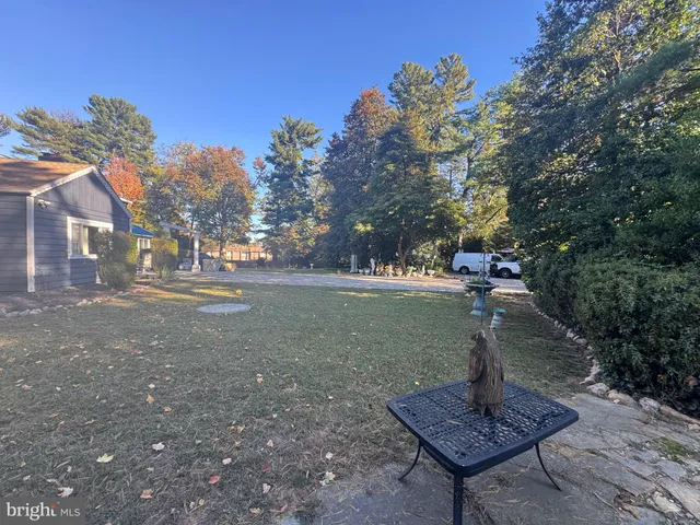 a view of a yard with tree s