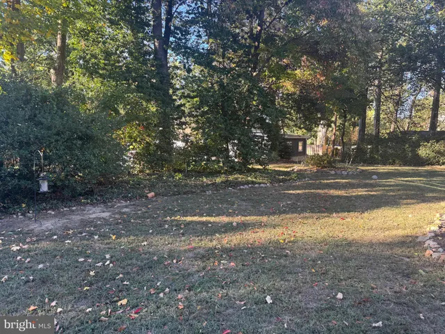 a view of a forest with trees in the background
