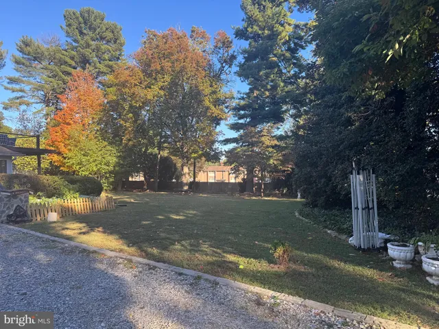 a view of a yard with tree s