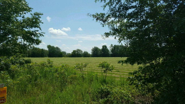 31-acres Veterans Road Salley, SC 29137 - Photo 2 of 2