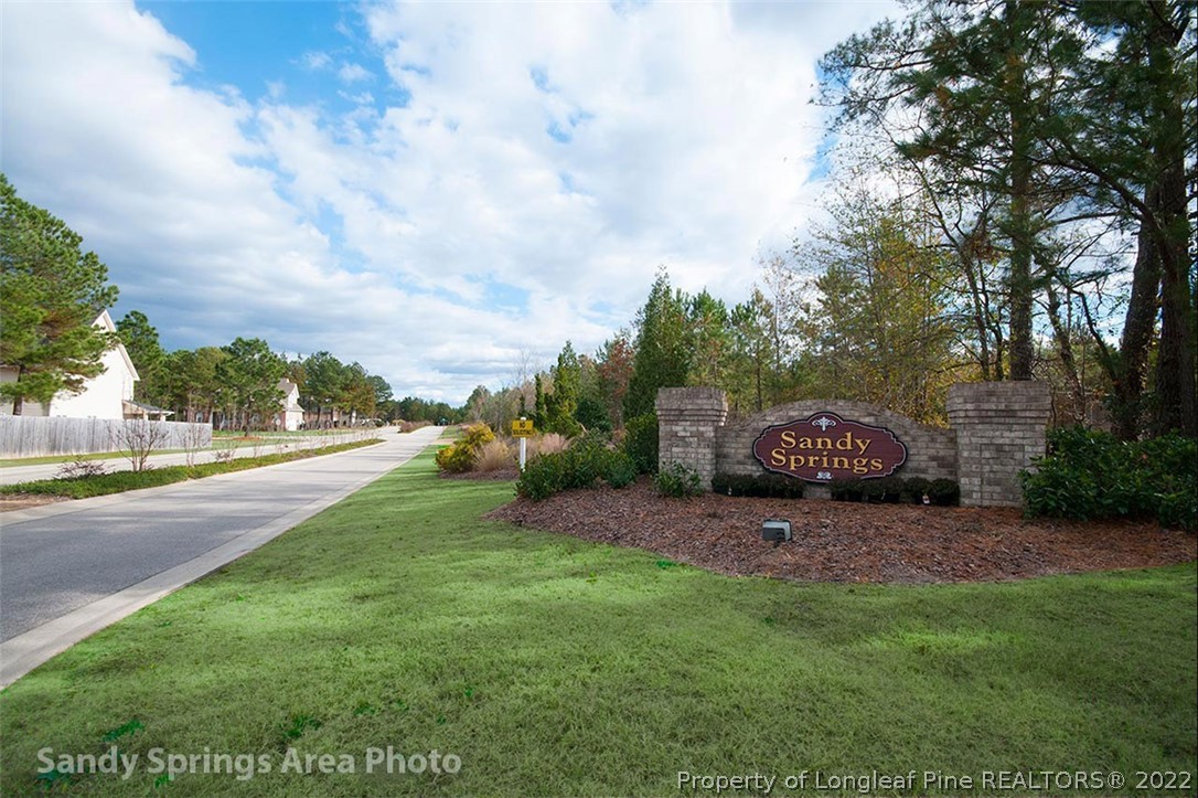 172 Sandy Springs Road Aberdeen, NC 28315 - Photo 2 of 8 a view of a yard with car parked