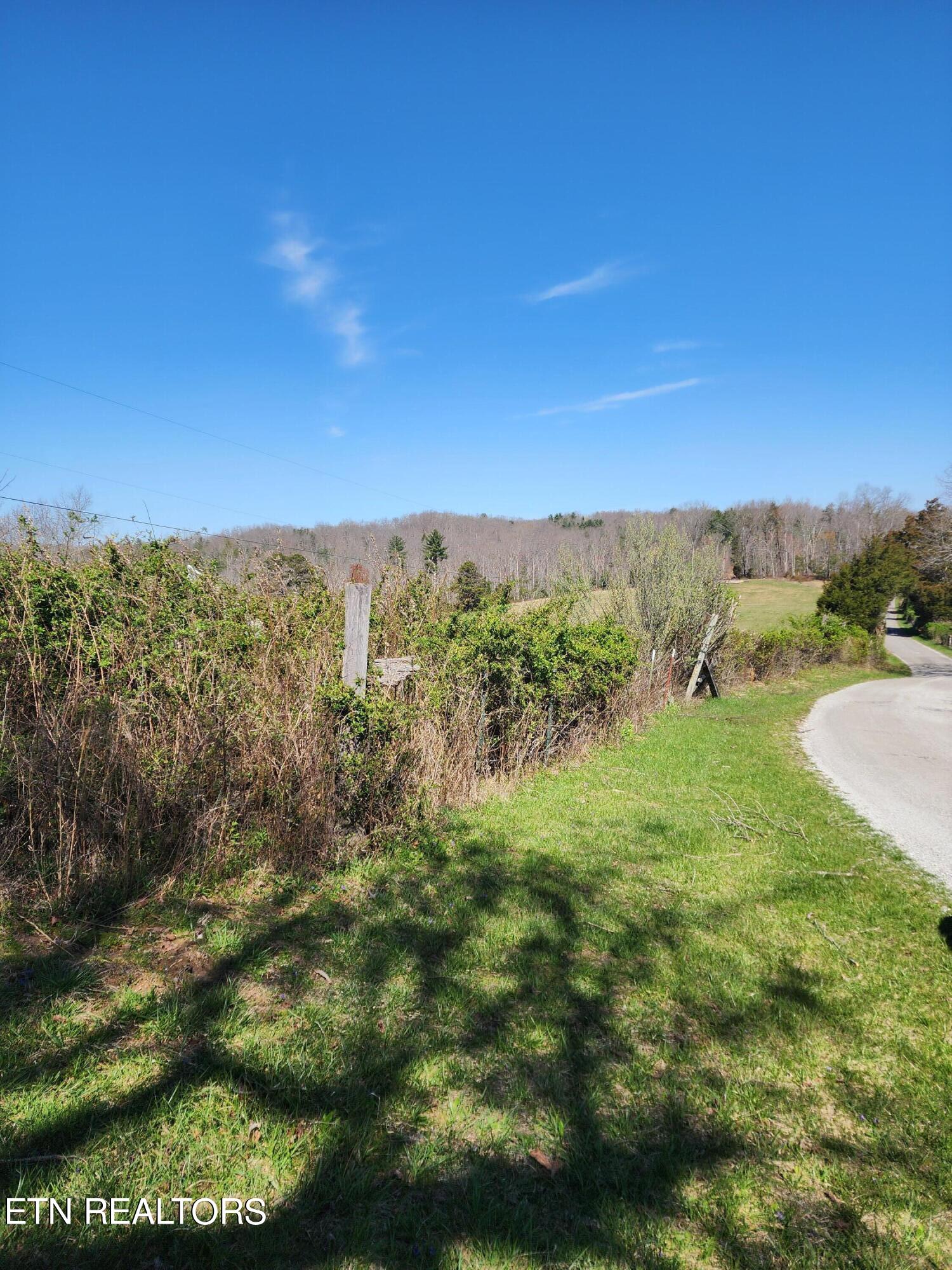 46 Acres On High Point Road Deer Lodge, TN 37726 - Photo 3 of 5 1000037035