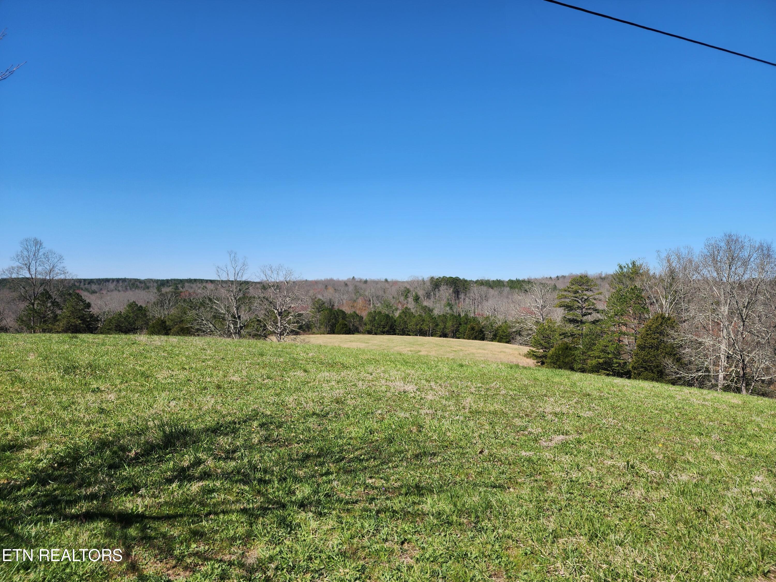 46 Acres On High Point Road Deer Lodge, TN 37726 - Photo 5 of 5 1000037033