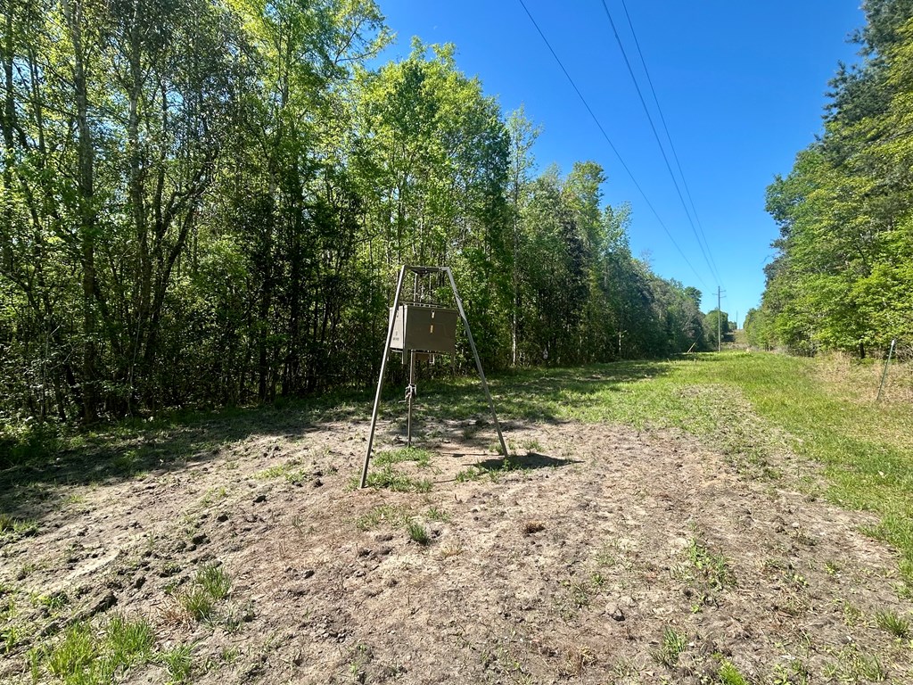 2500 Dean Church Road Ozark, AL 36360 - Photo 7 of 16