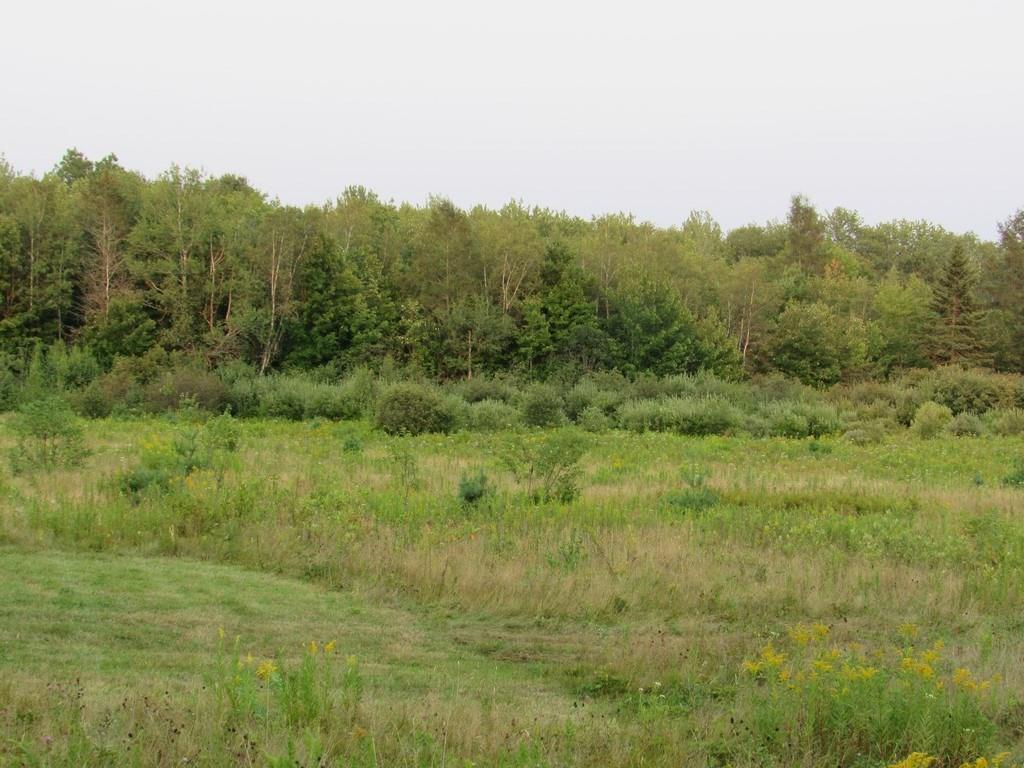 Lot 07 Clark Road Kenduskeag, ME 04450 - Photo 8 of 34 Photo