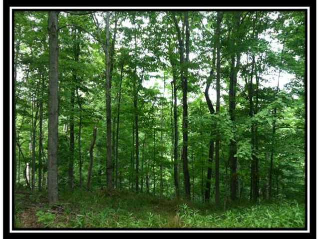 35300 Ball Run Road Pomeroy, OH 45769 - Photo 2 of 10