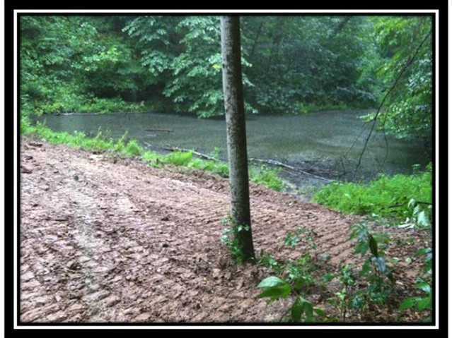 35300 Ball Run Road Pomeroy, OH 45769 - Photo 3 of 10