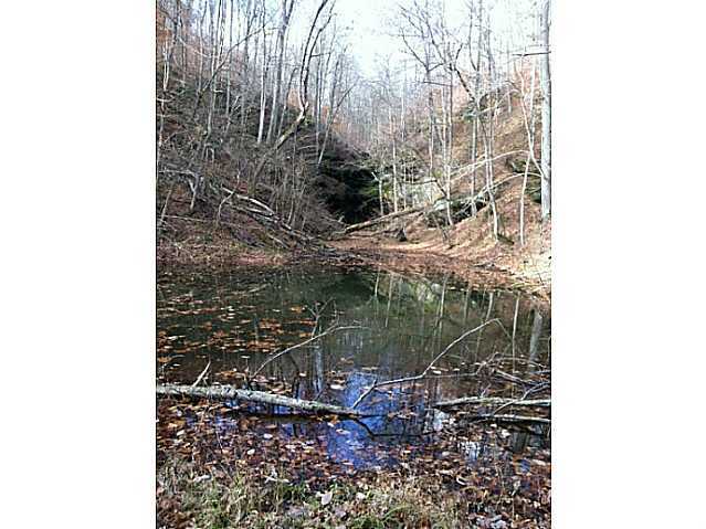 35300 Ball Run Road Pomeroy, OH 45769 - Photo 4 of 10
