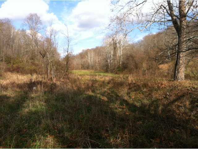 35300 Ball Run Road Pomeroy, OH 45769 - Photo 6 of 10