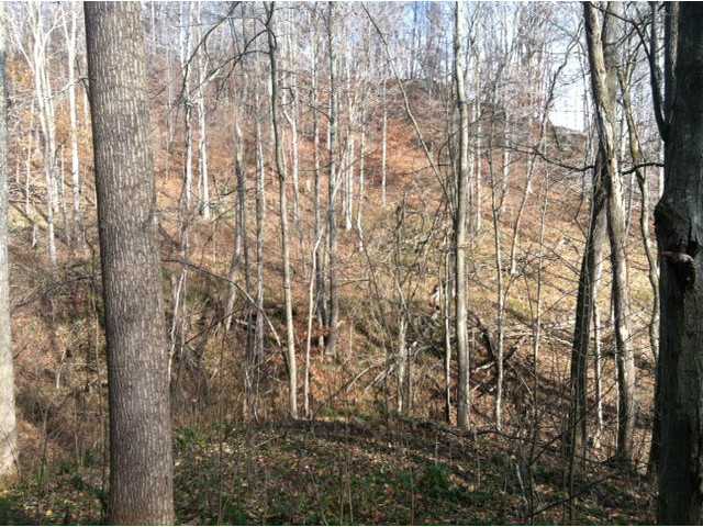 35300 Ball Run Road Pomeroy, OH 45769 - Photo 8 of 10