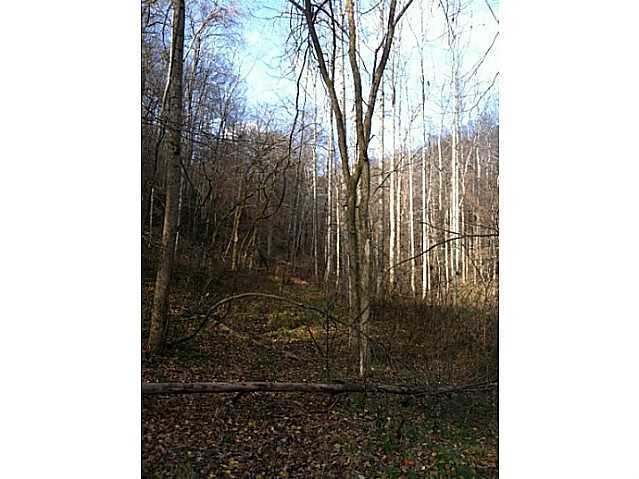 35300 Ball Run Road Pomeroy, OH 45769 - Photo 9 of 10