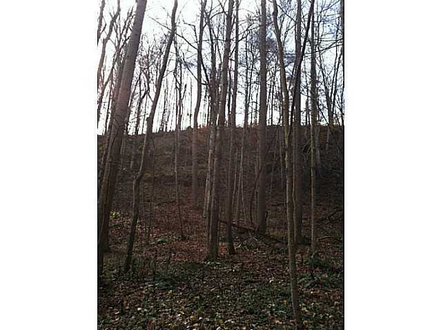 35300 Ball Run Road Pomeroy, OH 45769 - Photo 10 of 10