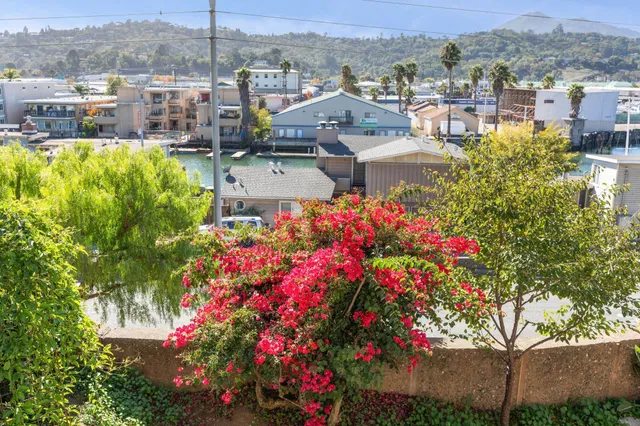 a view of a garden with flowers and flowers