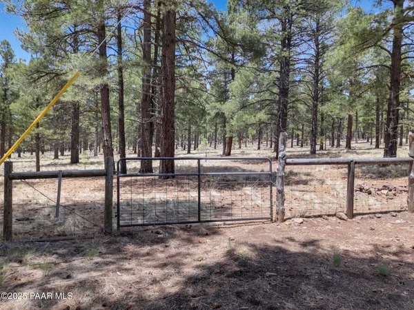 a view of a yard with trees