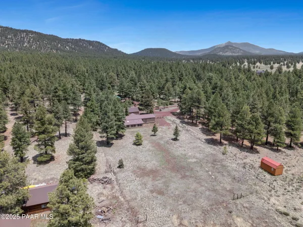 a view of a forest with mountains in the background