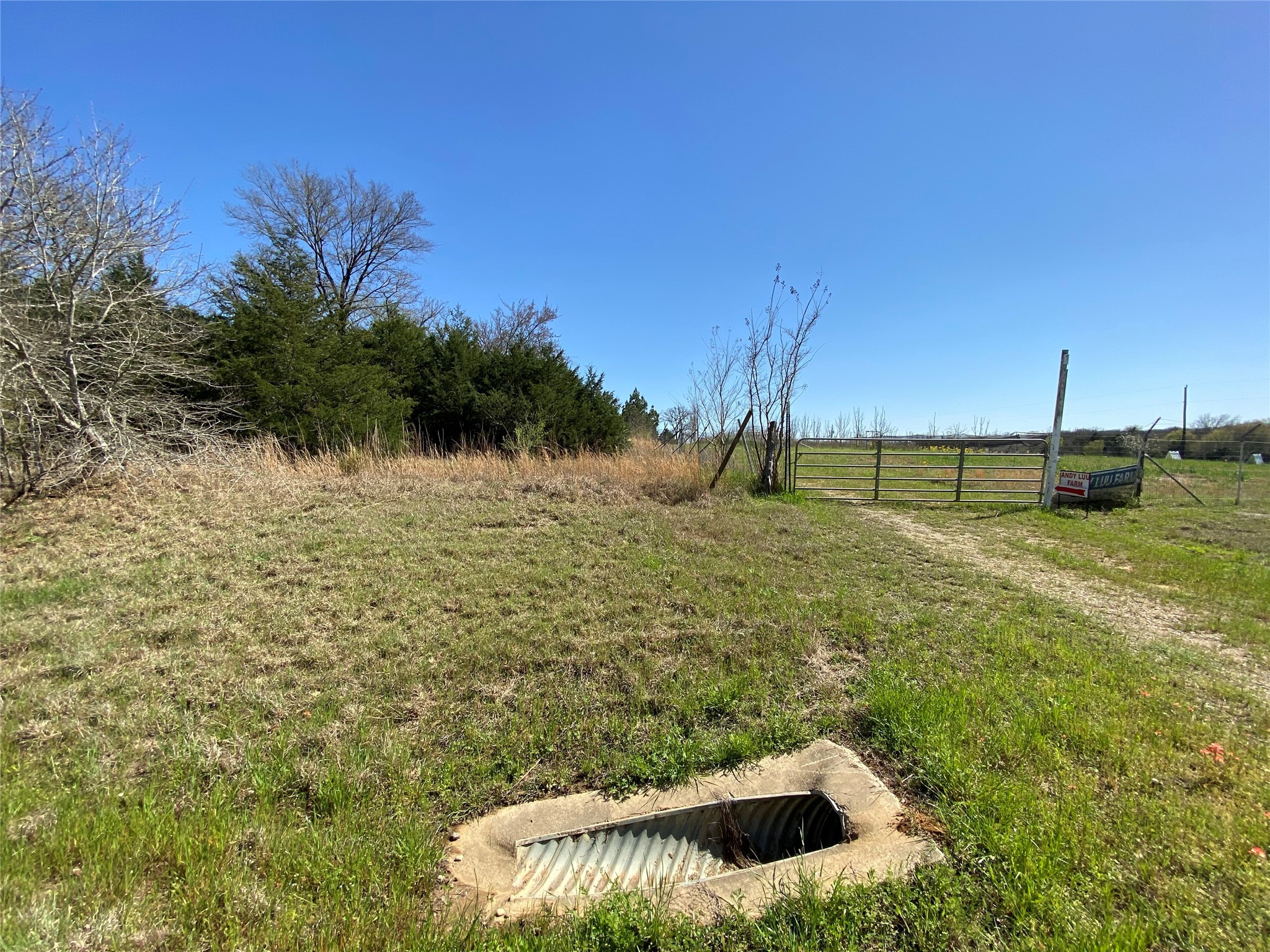 0 Fm 1644 Calvert, TX 77837 - Photo 2 of 11 a view of a yard