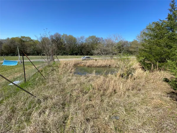 a view of a yard
