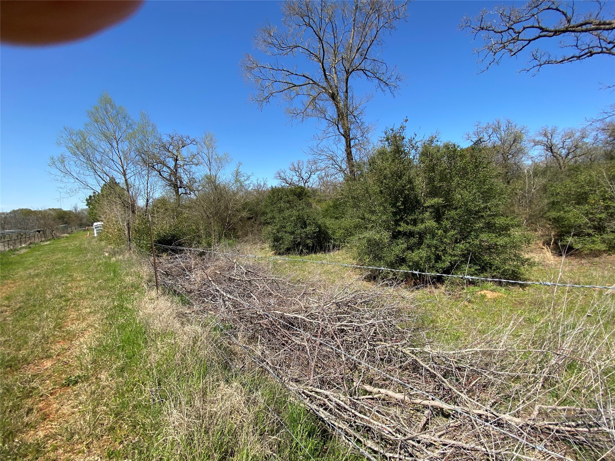 0 Fm 1644 Calvert, TX 77837 - Photo 7 of 11 a view of a yard with an trees