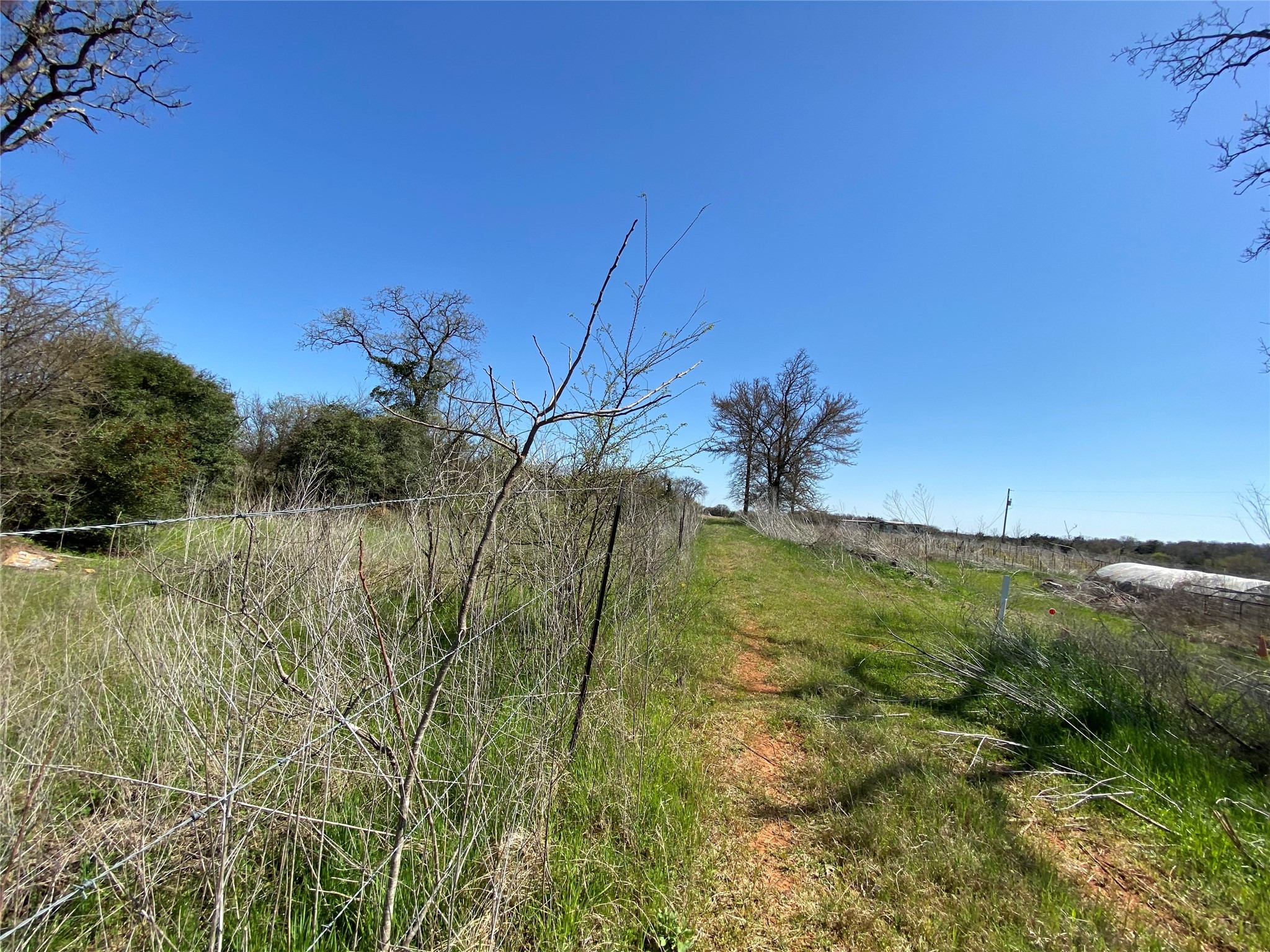 0 Fm 1644 Calvert, TX 77837 - Photo 8 of 11 a view of a lake