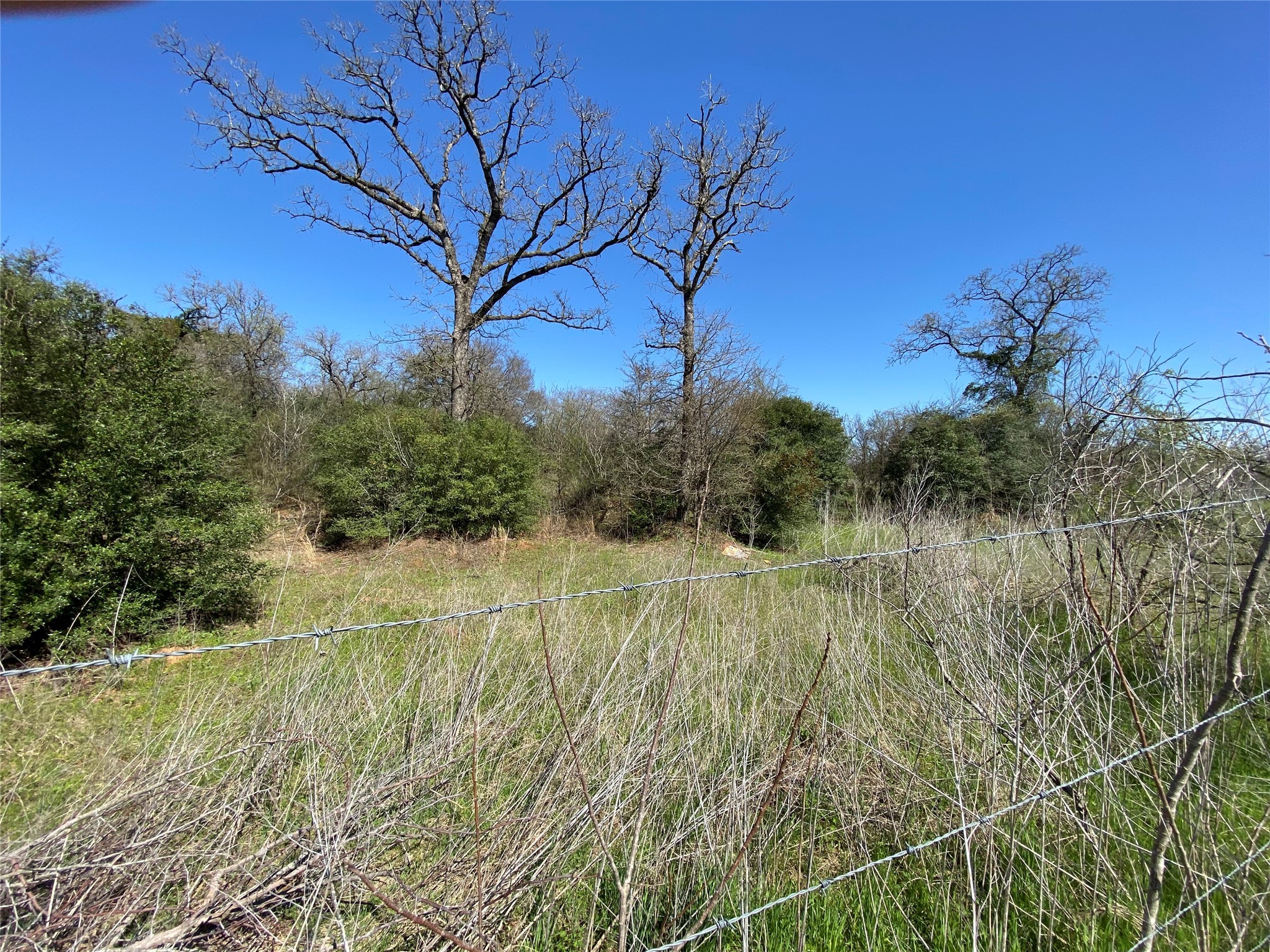 0 Fm 1644 Calvert, TX 77837 - Photo 9 of 11 a view of a yard